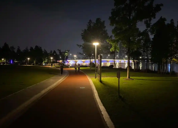 跑步锻炼 夜跑.png